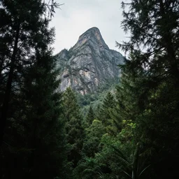 a mountain towers above the forest, depth, 8 k, artstation, 3 2 mm lens, dslr photography
