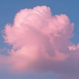a pink cloud looking not so obvious face