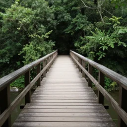 forest bridge, guanxiu