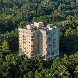 Slum housing emerging form a forest landscape, volumetric light , full colour ,4k
