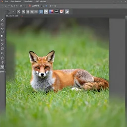 a beautiful fox lying in the grass, XF IQ4, 150MP, 50mm, f/1.4, ISO 200, 1/160s, natural light, Adobe Photoshop, Adobe Lightroom, DxO Photolab, Corel PaintShop Pro, symmetrical balance, depth layering, polarizing filter, Sense of Depth