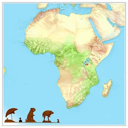 a map of the evolution of the african continent.