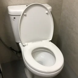 toilet, tattoo ink