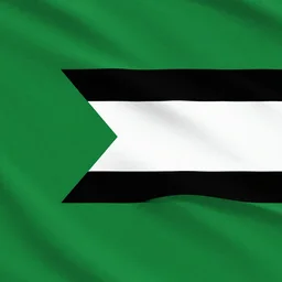 flag, 3 stripes, green, white, black, realistic