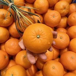 oranges for 40 cent I feel nothing 🟠
