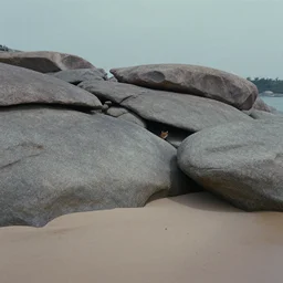 along the shoreline of the river, the area is sandy. it is a large granite rock formation, with smooth gray boulders. the smooth rocks are flat. in the rocks, prey is able to hide in small cavities between the boulders. still frame from the fox and the hound ( 1 9 8 1 )