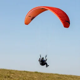 paragliding grizzly