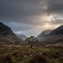 scotland landscape photography, lonely tree, by marcus mcadam, cinematic, dramatic lighting, mountains, clouds, beautiful, 1 6 mm lens, canon 5 ds - r