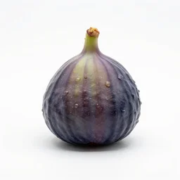 iridescent fig, professional product shot, isolated on a pure white background, centered, entire object in frame, sharp focus, soft studio lighting