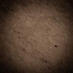 tim burton inspired floor texture. dirt. hd.