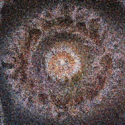 fractal beauty.