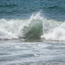 tidal wave