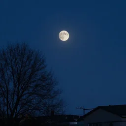 midnight moonless