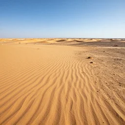 the danakil desert