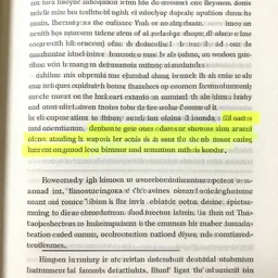 article with highlighted multiple highlighted the