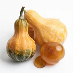 a hybrid of gourd and amber heard intercross hybrid mix intercross hybrid mix