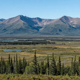 Alaska wilderness in summer with mountainous background as seen from scenic viewpoint. panorama view.