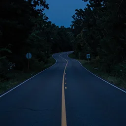 the long and winding road at night by john christopher pratt,