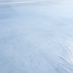 “ the thin space between the frozen sea ice above and the water below, dark water, blue light filtering in through thick ice above ”