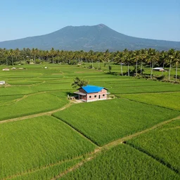 wide angle perspective view, aerial photo of bright green rice fields on terraced mountain farm, a small 2 stories red white brick house with blue rooftop in the middle, surrounded by coconut palm vegetation, majestic mountain in the far background, clear blue sky, sony ilce - 6 5 0 0 3 5 mm aperture f / 9 shutter 1 / 6 4 0 s