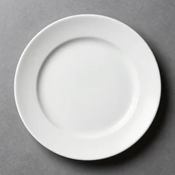 a plate, completely empty, culinary art photography