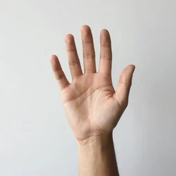 hands down the best hand