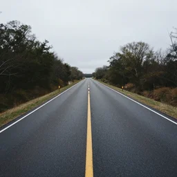 the road not taken