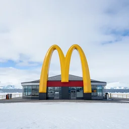 a photo of a mcdonalds located in the middle of antarctica, realistic