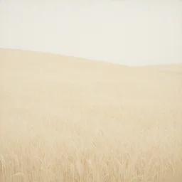 painterly minimal endless bland pale bleached sloping wheat farmland 1 2 3 4 by from mulan ( 1 9 9 7 )