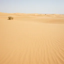 A vast, empty desert with nothing but sand and a few shrubs in the style of Vladimir Kush
