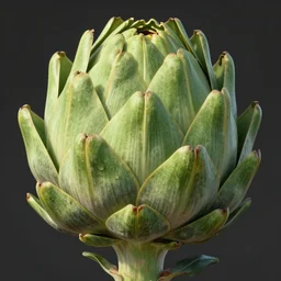 an ape artichoke monster, highly detailed, digital art, sharp focus, trending on art station, plant, anime art style