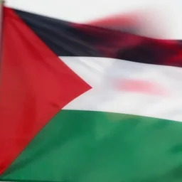 🇸 🇦 🇺 🇱 🇬 🇴 🇴 🇩 🇲 🇦 🇳