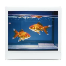 polaroid photo of a screensaver of goldfish swimming underwater in a windows xp computer n - 9