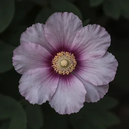 mundane bloom