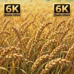 sharp focus, breath taking beautiful, Aesthetically pleasing, gouache field of grain at golden hour, digital concept art background by Hayao Miyazaki and Studio Ghibli, fine art, official media, high definition, illustration, ambient lighting, HDR, HD, 8K, award winning, trending, featured, masterful, dynamic, energetic, lively, elegant, intricate, complex, highly detailed, Richly textured, Rich vivid Color, masterpiece.