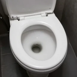 a demonic toilet bowl with human teeth