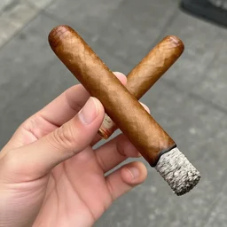 a cigar that is just a cigar