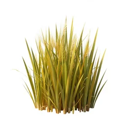 2 d sprite sheet of desert grass, game asset, white background, highly detailed, 4 k