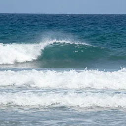 chasing forum waves