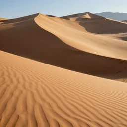 nevada tan