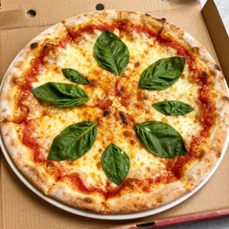 pizza au caca