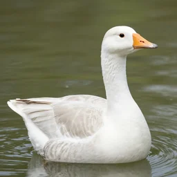ryan gosling goose