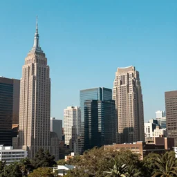 combination johannesburg and new york