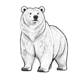 ! dream coloring book line illustration of a tall standing grizzly bear, full frame clean digital artwork vector art