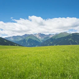 photo of a heavenly meadow with a mountain range in the background