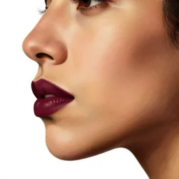 a mexican woman's face in profile, maroon lips, white background, dynamic, ultra detailed, 4 k, illustration, by kehinde wiley, kadir nelson, john william waterhouse