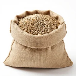 professional photo of a burlap bag full of seeds