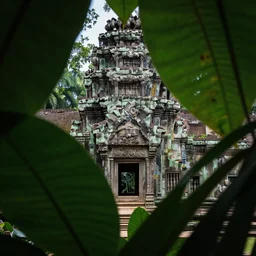 seeing ancient civilization while I'm hiding behind leaves in jungle