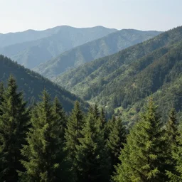 a beautiful and highly detailed matte painting of an epic lush mountain range stretching into the distance, fir trees, pine trees, redwood trees, lush vegetation, flowers, tall grass, rivers, streams, waterfalls, a lake in the distance, intricate details, epic scale, insanely complex, 8 k, sharp focus, hyperrealism, very realistic, by caspar friedrich, albert bierstadt, james gurney, zeen chin,