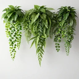 a wall full of flowing plants, green backlight leaves, modern studio
